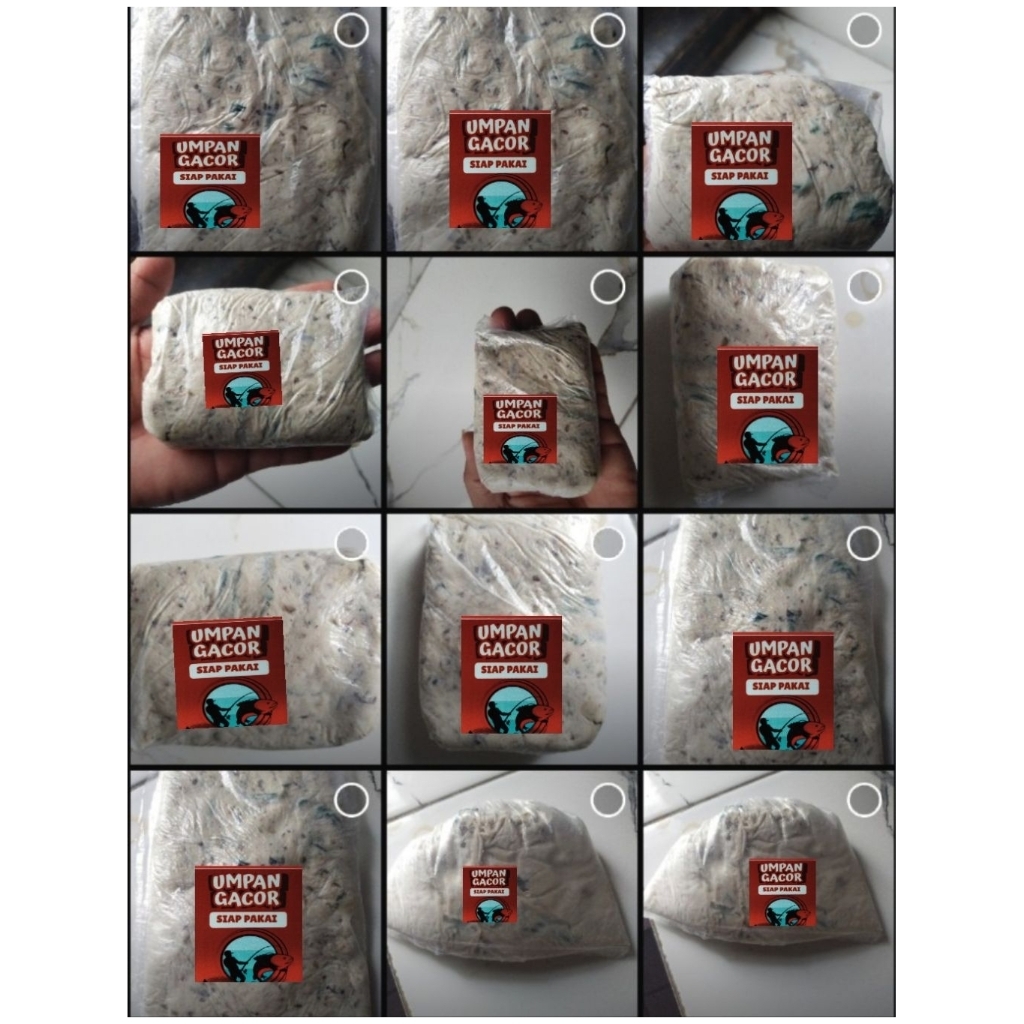 umpan ikan mas siap pakai