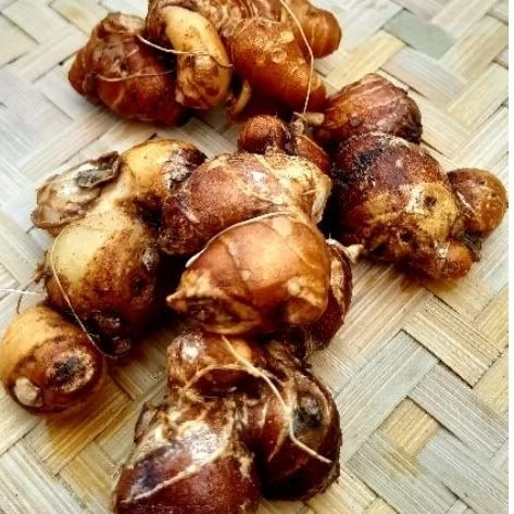 

kencur segar rempah-rempah yang lagi bnyak di cari bumbu seblak dll