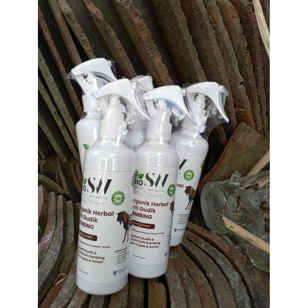 Obat Gudik Kambing dengan bahan herbal alami foodgrade