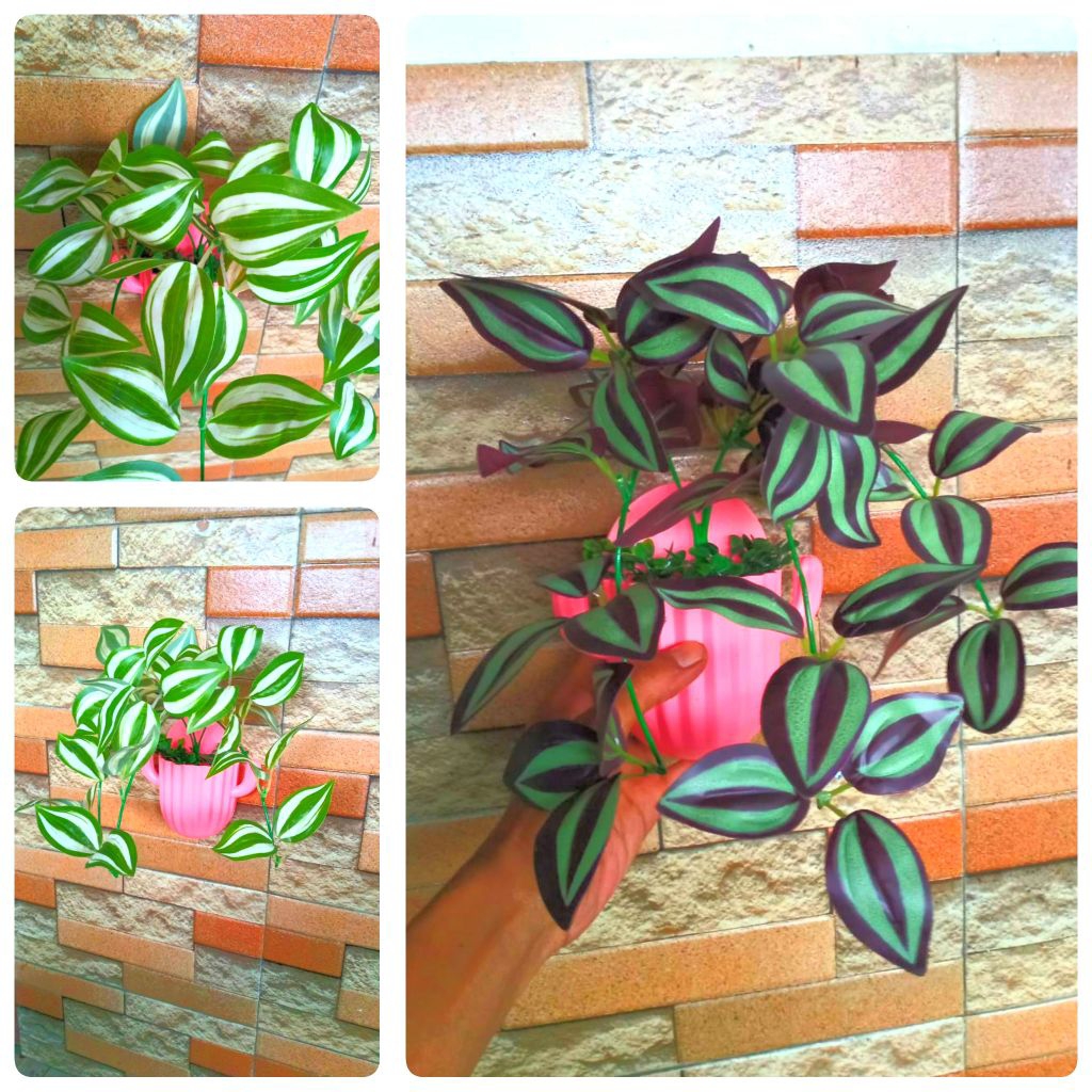 Zebrina miana pot dinding kaktus bunga hias artificial imitasi palsu plastik