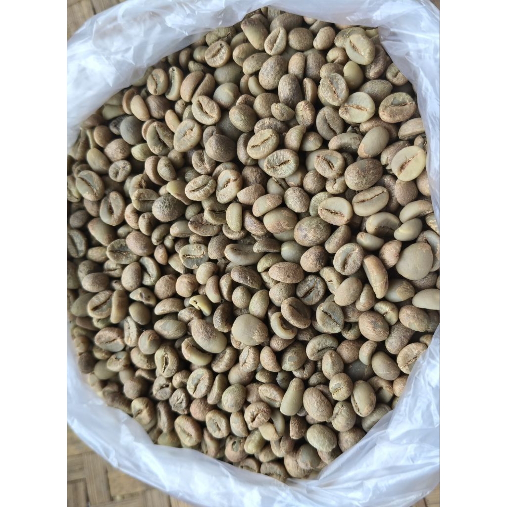 

BIJI KOPI ROBUSTA MENTAH PILIHAN GREAT 1 LAMPUNG MURNI PROSES NATURAL 1kg