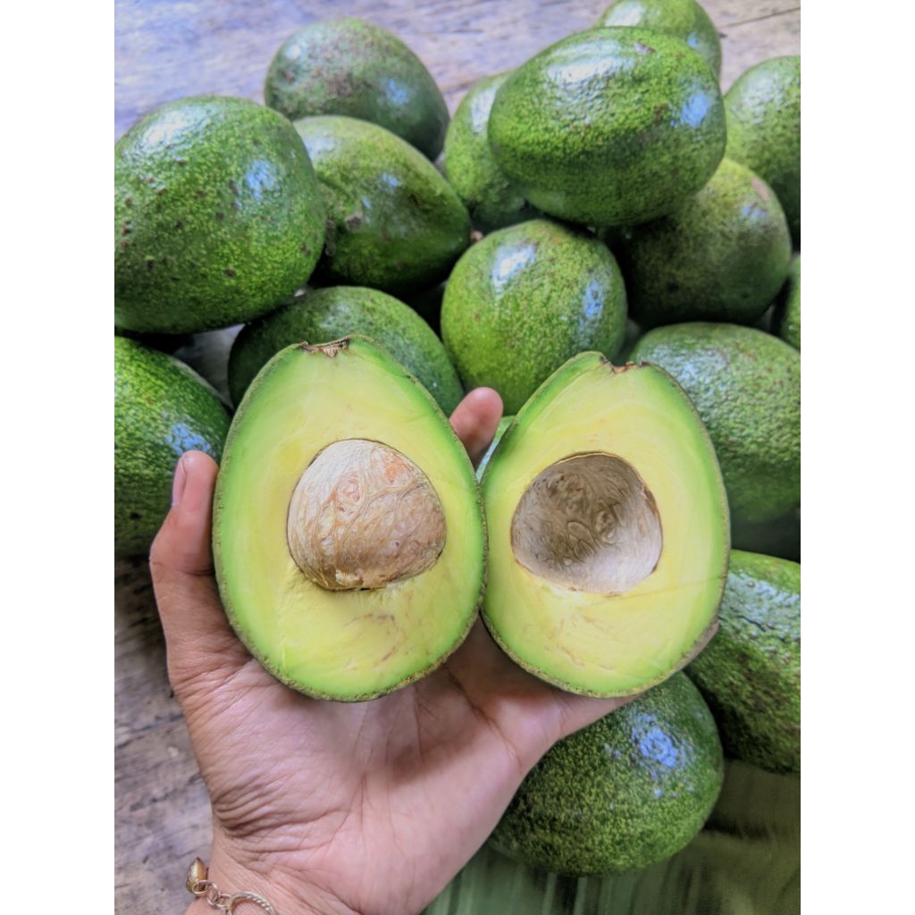 

Alpukat mentega lokal kualitas bagus dikirim mentah 2kg dan 3 kg