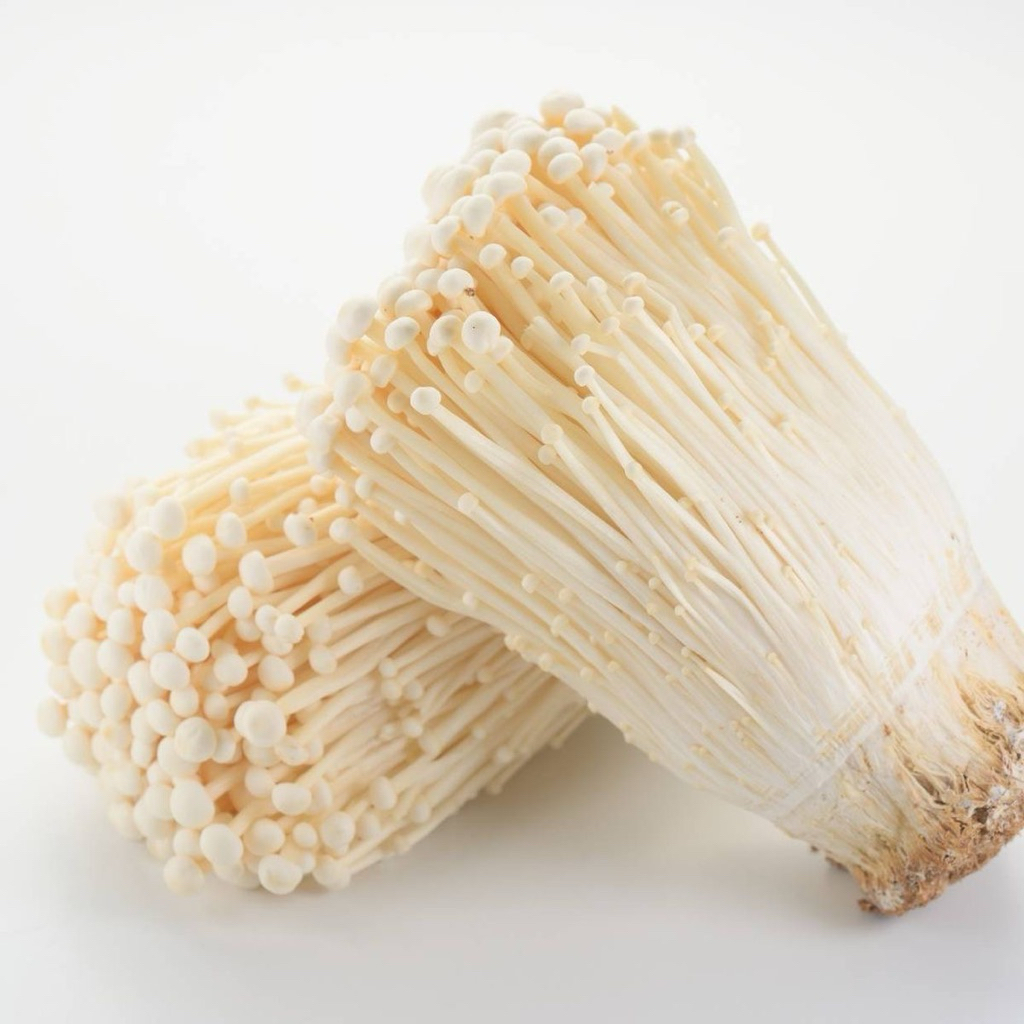 

Jamur Enoki
