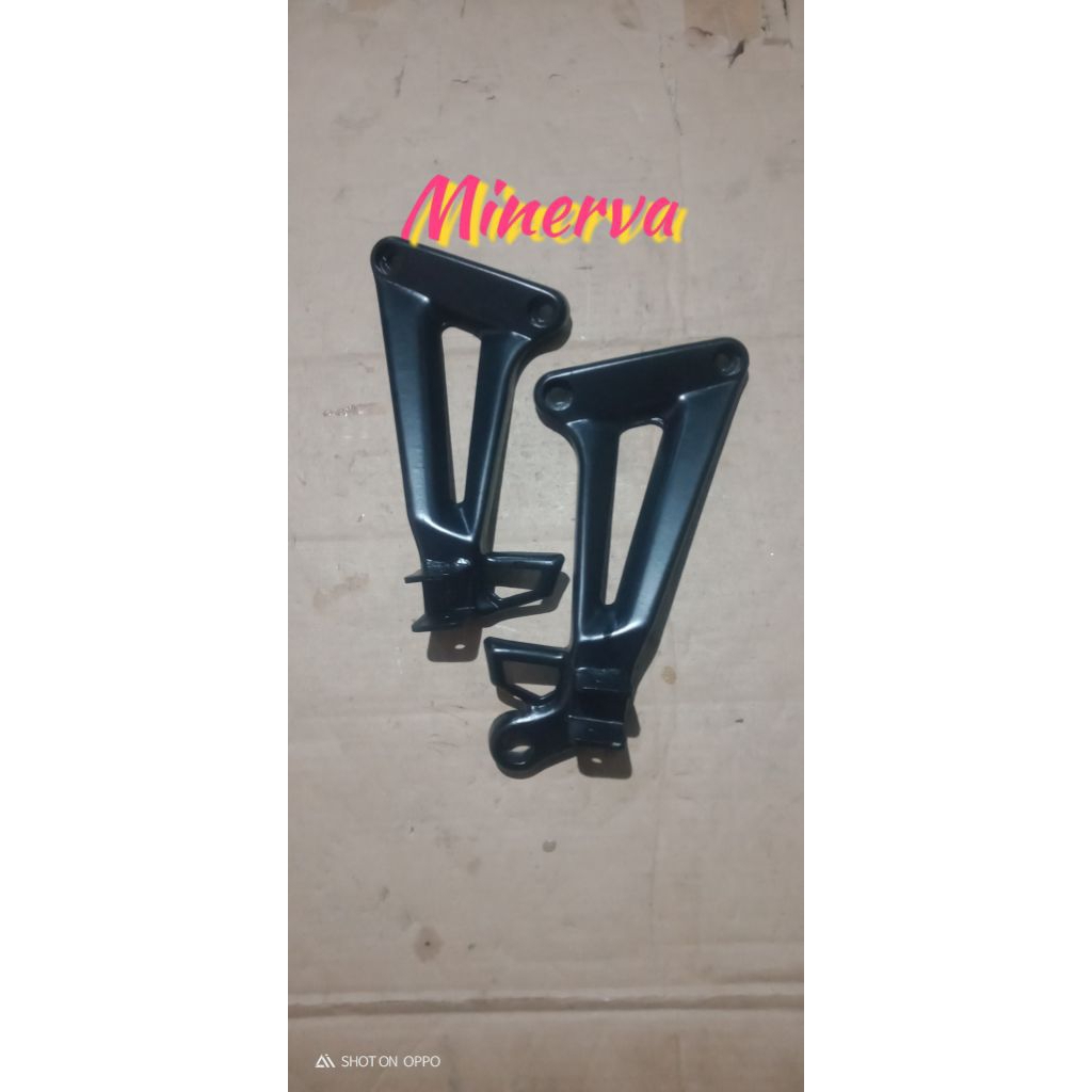 postep belakang Minerva minerva