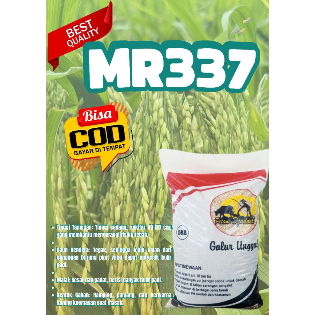 BIBIT PADI MR 337
