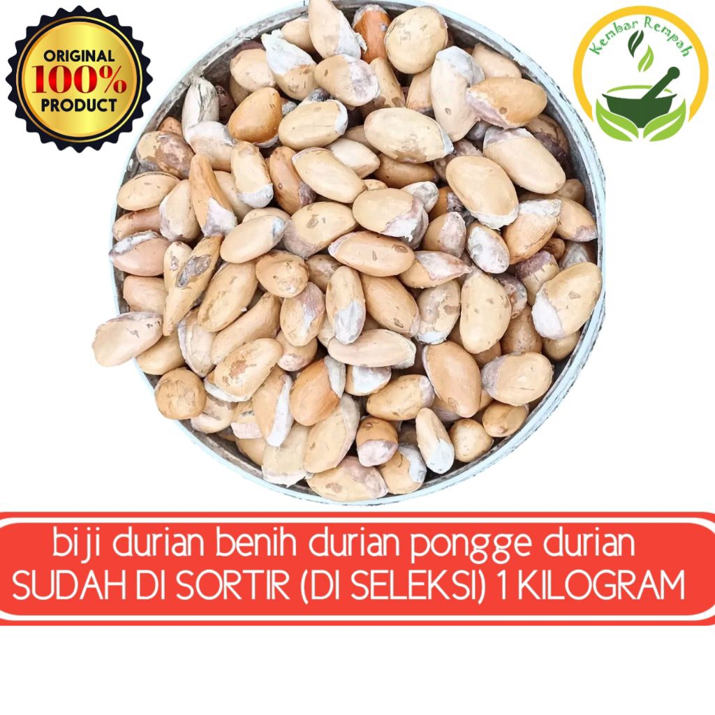1 KILOGRAM BIJI DURIAN BENIH DURIAN PONGGE DURIAN BERKUALITAS