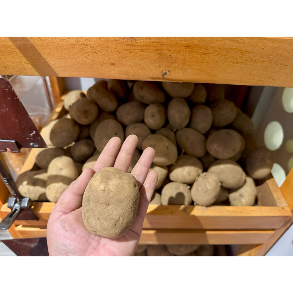 

Kentang Dieng uk Sedang