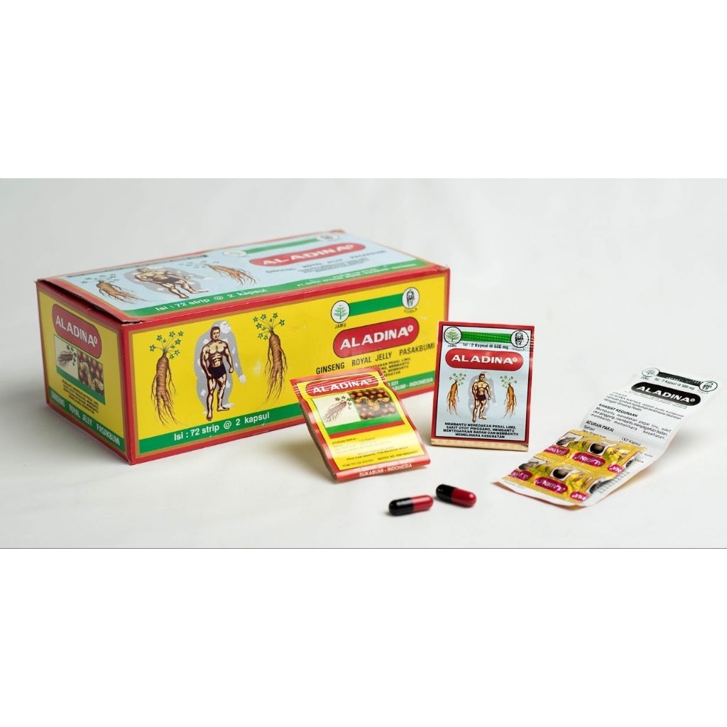 Aladina kapsul kemasan box
