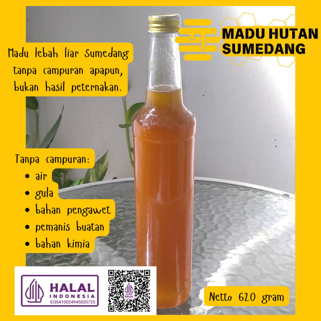 

Madu Hutan Sumedang Madu Asli Madu Murni Tanpa Campuran Apapun Madu Hutan Asli 100% Ukuran 620gram