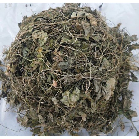 Daun Semanggi Kering 100 gram / Daun Semanggi Kering 50 gram Organik