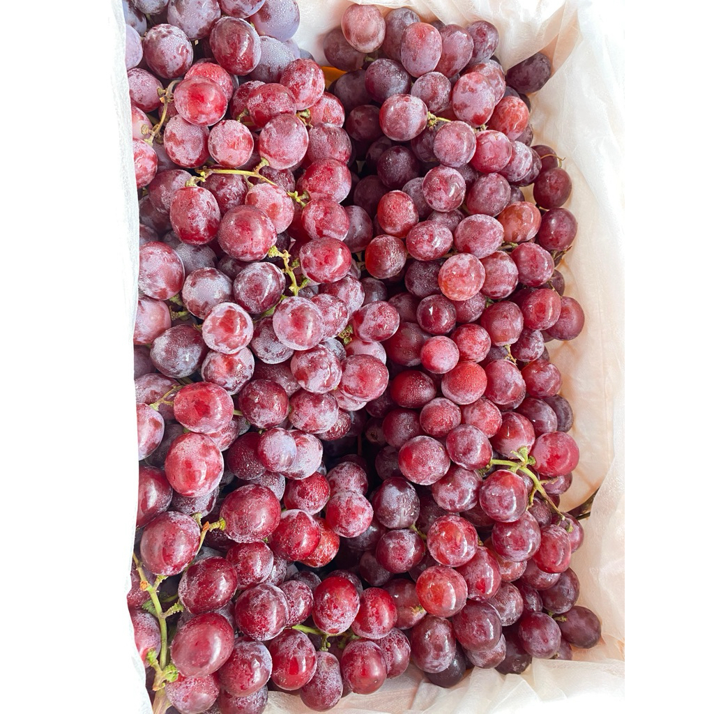 

Anggur Merah Manis Segar