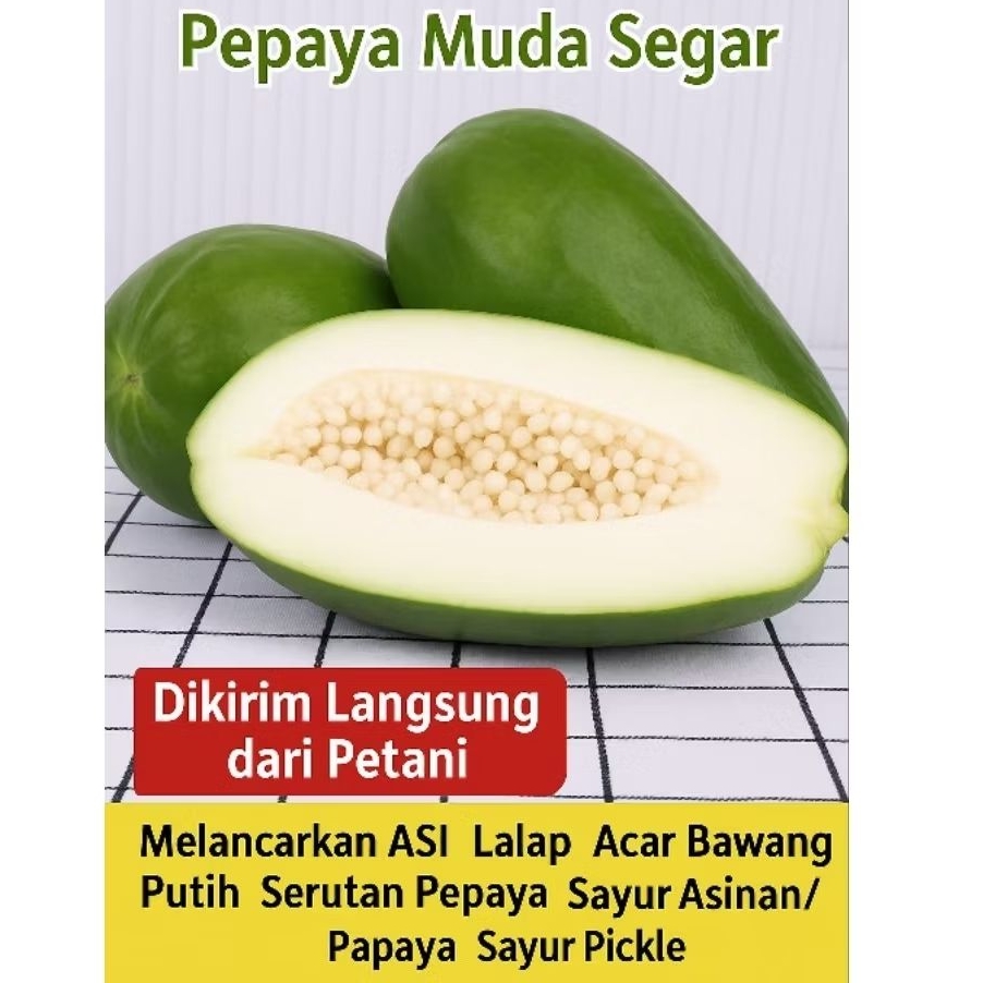 

Pepaya Muda Segar | Cocok untuk Oseng & Gulai | Sayur Pepaya 1 KG