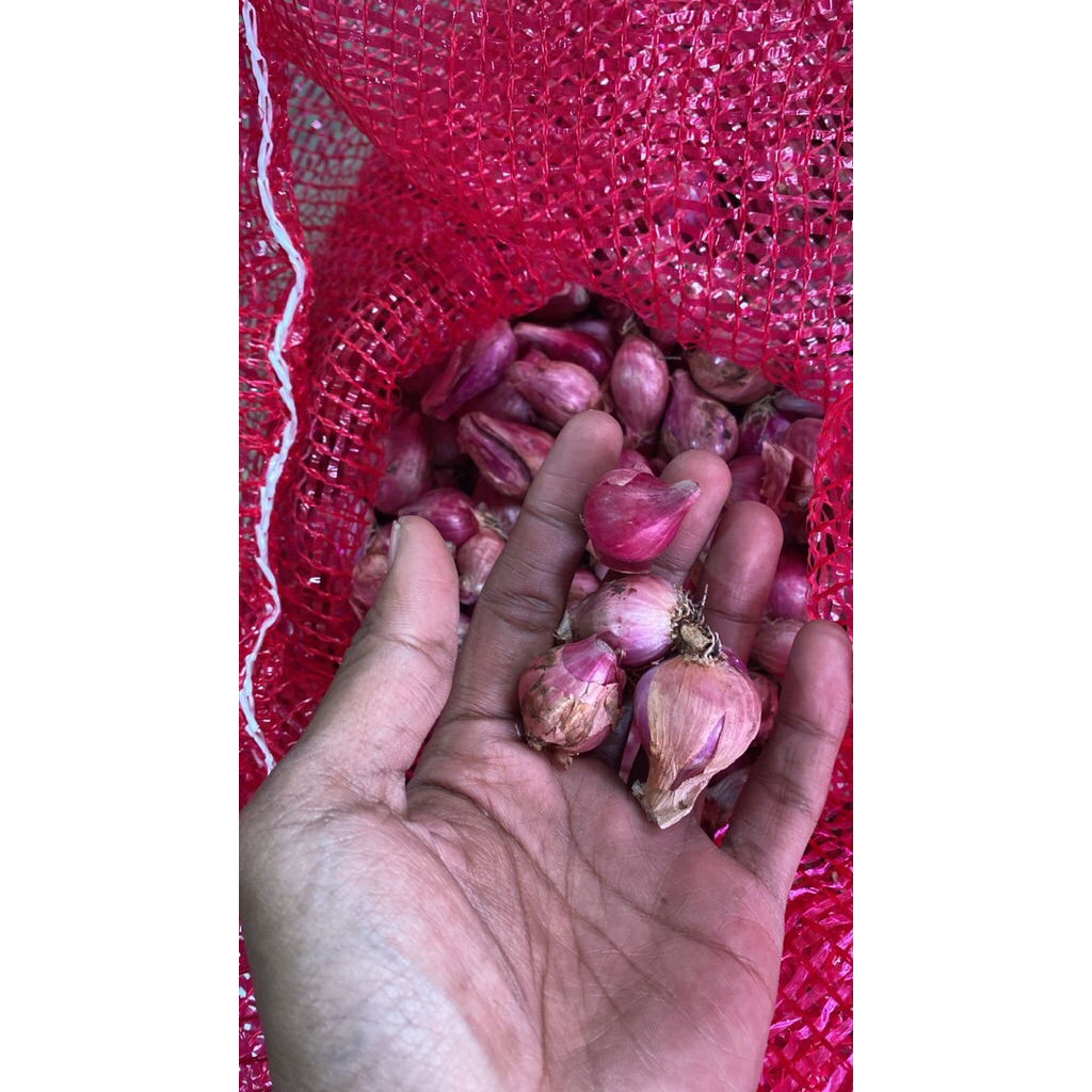 

BAWANG MERAH NGANJUK/BREBES 500gr