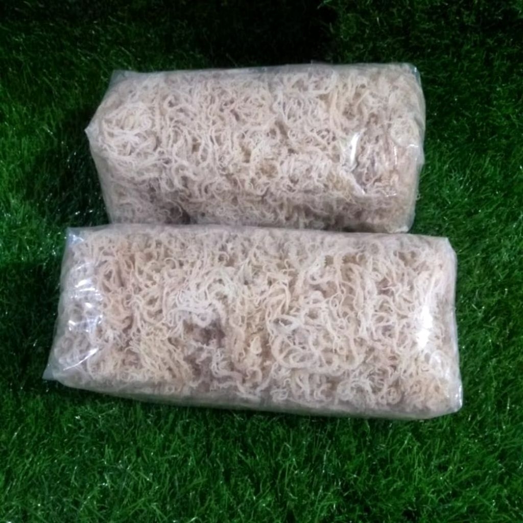 Rumput Laut Kering Untuk Agar agar Dan Es Campur Berat 2kg