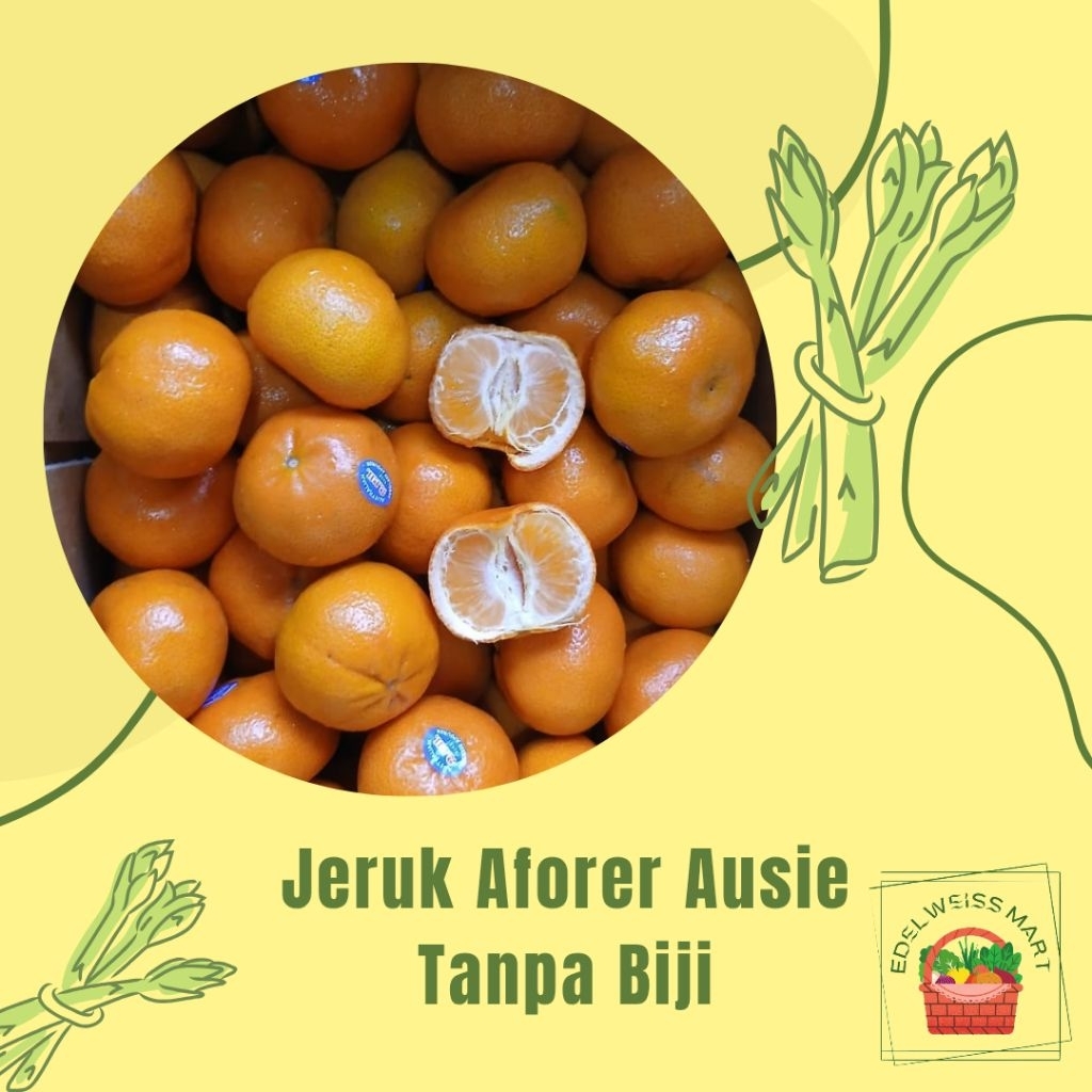 

JERUK AFORER AUSIE TANPA BIJI -+1KG (FRESH) - INSTANT SEMARANG