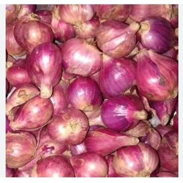 

bawang merah ukuran sedang/bawang kering beresih asli petani lokal dengan aroma goreng wangi,harum menambah aroma kelezatan pasakan anda