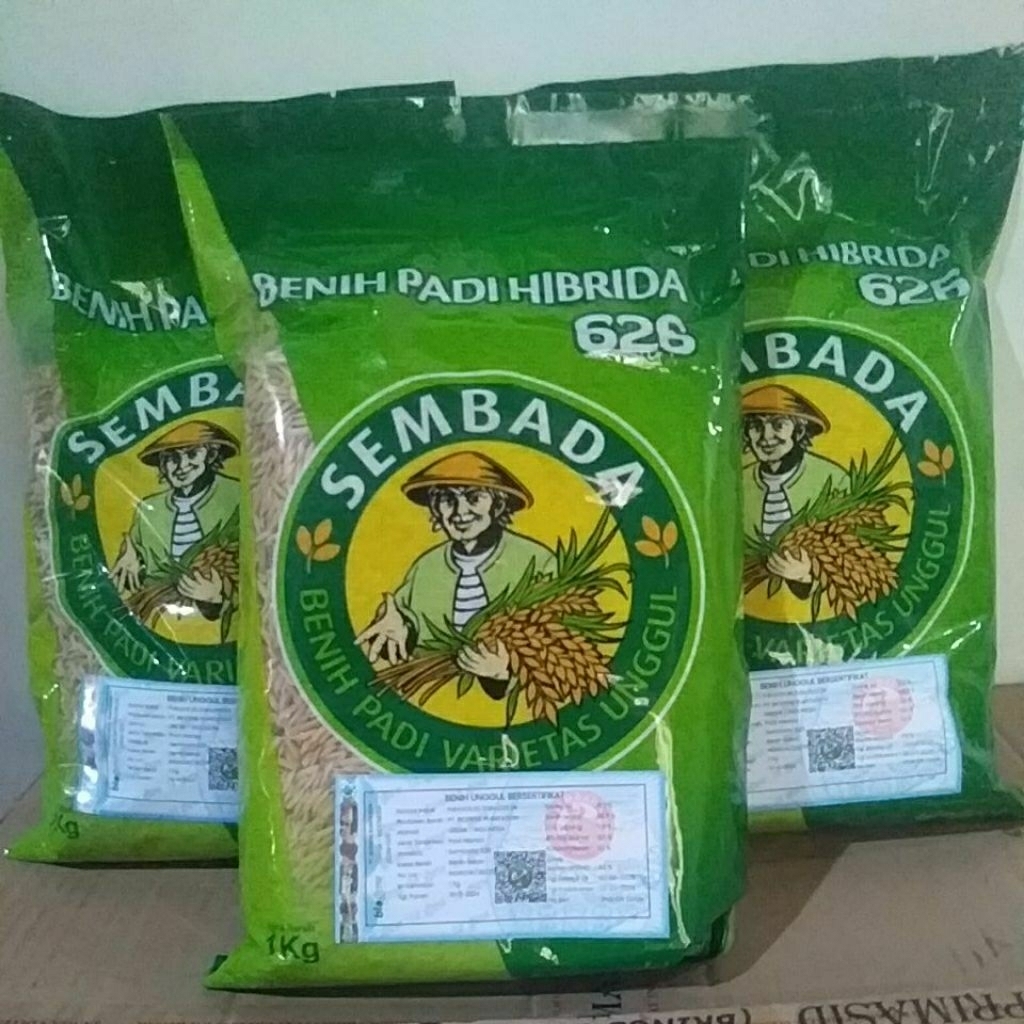 bibit padi unggul sembada 626
