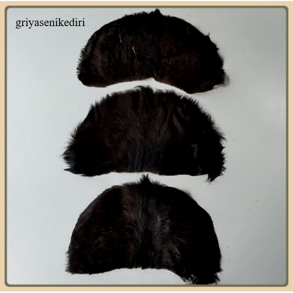 Simbar Barongan tradisional by griyasenkediri