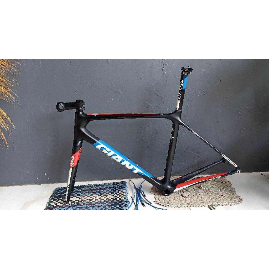 Frame set giant TCR pro advanced Alpecin