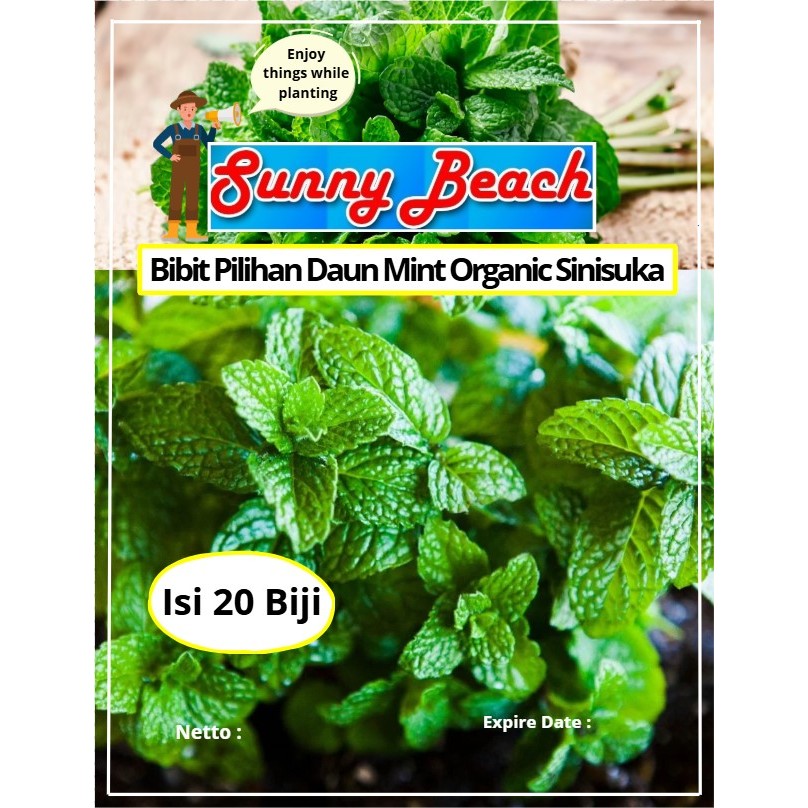 Bibit Pilihan Daun Mint Organic Sinisuka | Biji Benih Daun Mint | Daun Mint