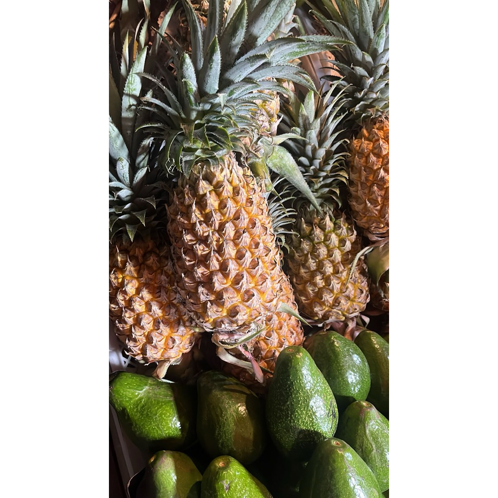 

Buah Nanas Segar Prabumulih Palembang