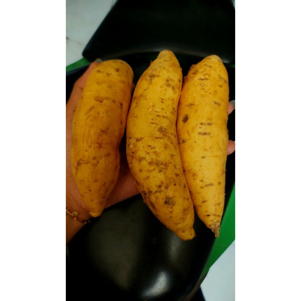 

UBI MADU CILEMBU ASLI//Ukuran kecil rata