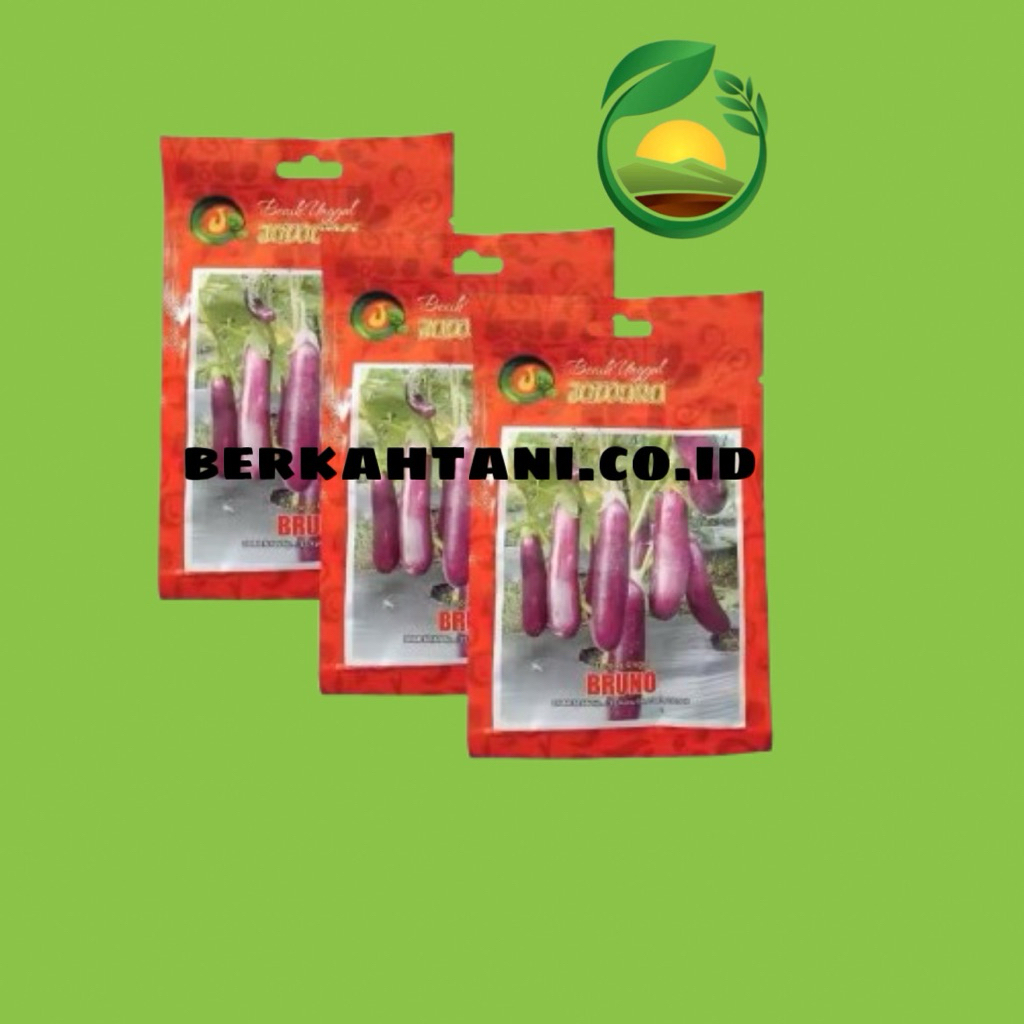 Bruno 10gr Bibit Terong Ungu Jawara