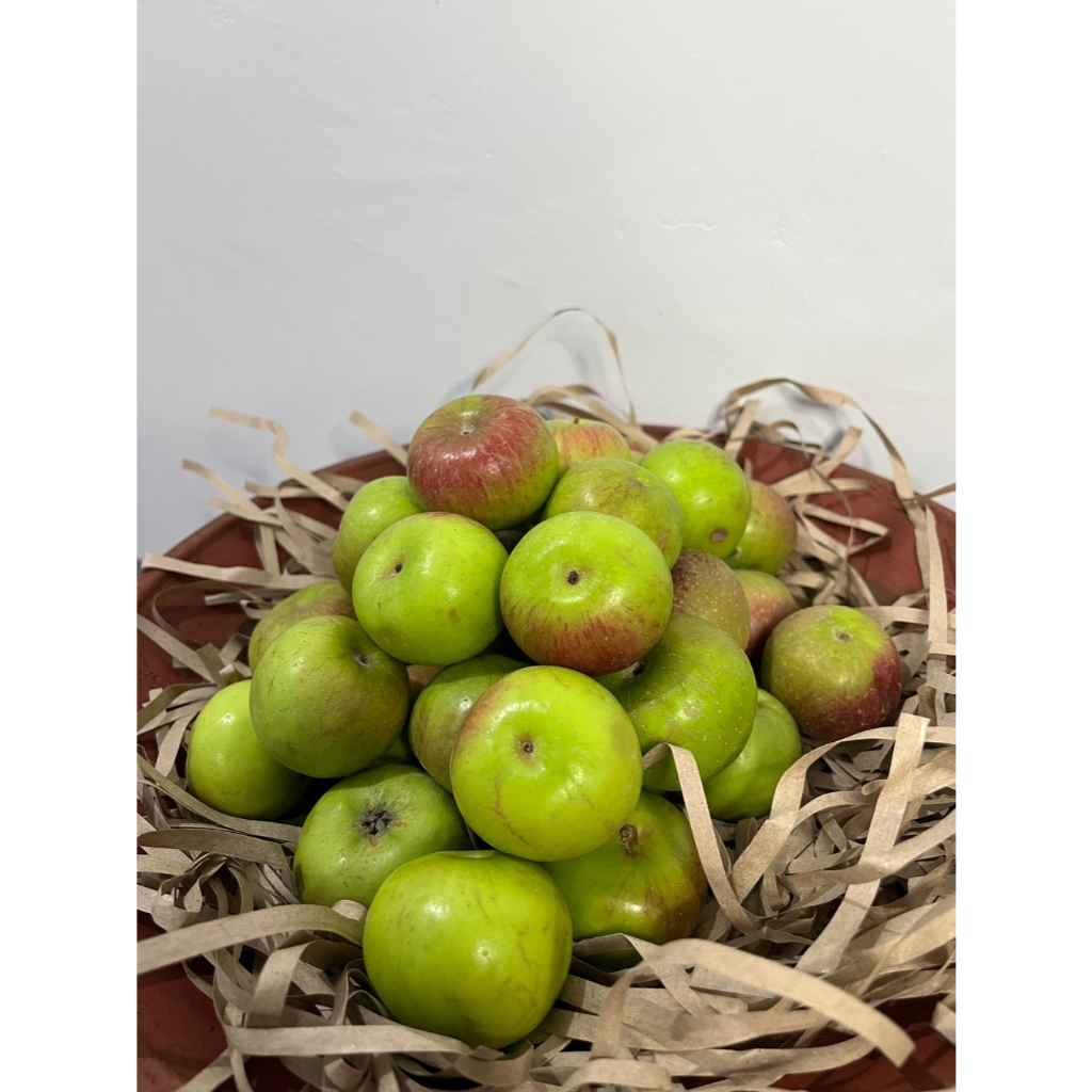 Apel Rome Beauty Mini 1 Kg Isi ± 25 - 30 buah apel Batu Malang