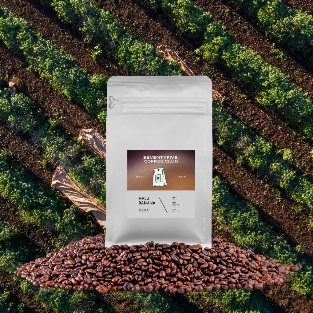 

BIJI KOPI BUBUK KOPI 100% JAVA HALU BANANA - 250 GRAM