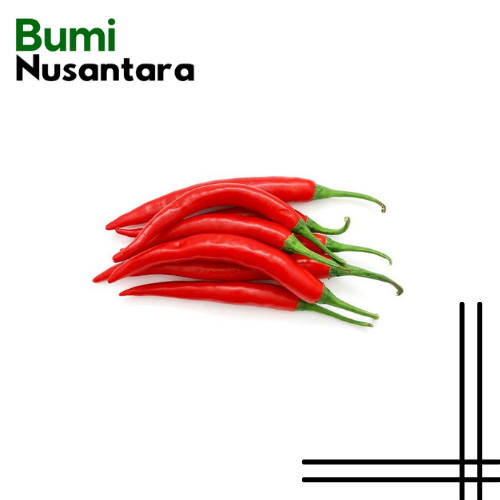 

Cabai merah besar fresh (Bumi Nusantara)