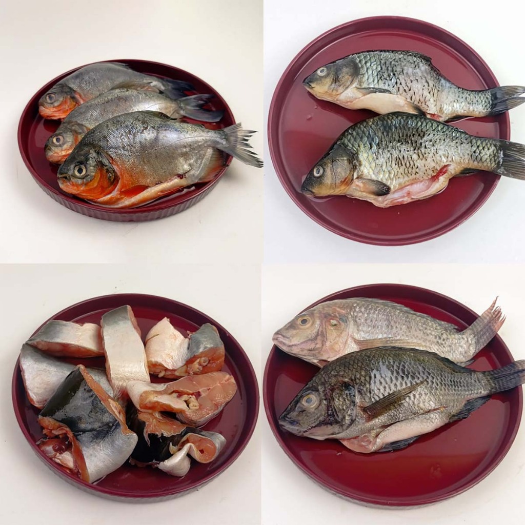 

Aneka Ikan Segar : Ikan Mas, Ikan Mujair, Ikan Patin, Ikan Bawal 500g Bersih Halal