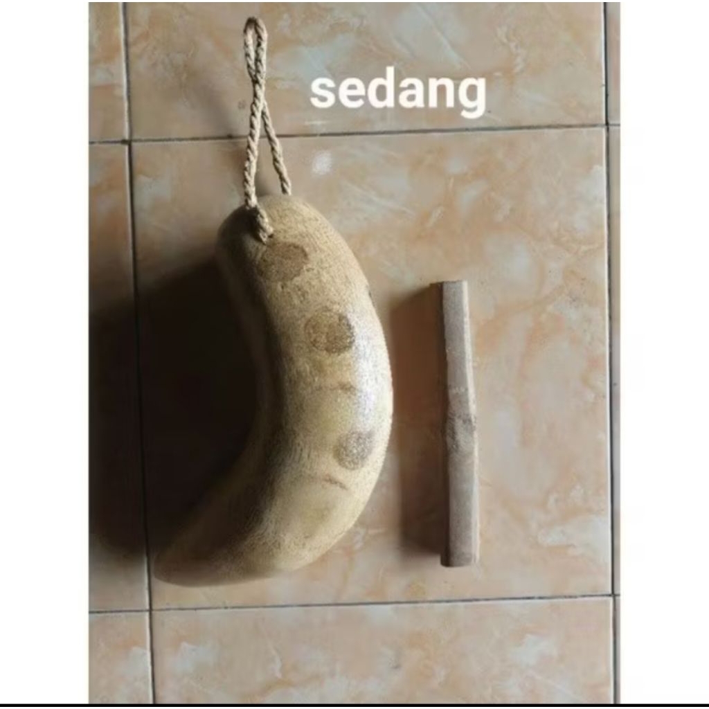 Kentongan akar bambu bisa cod