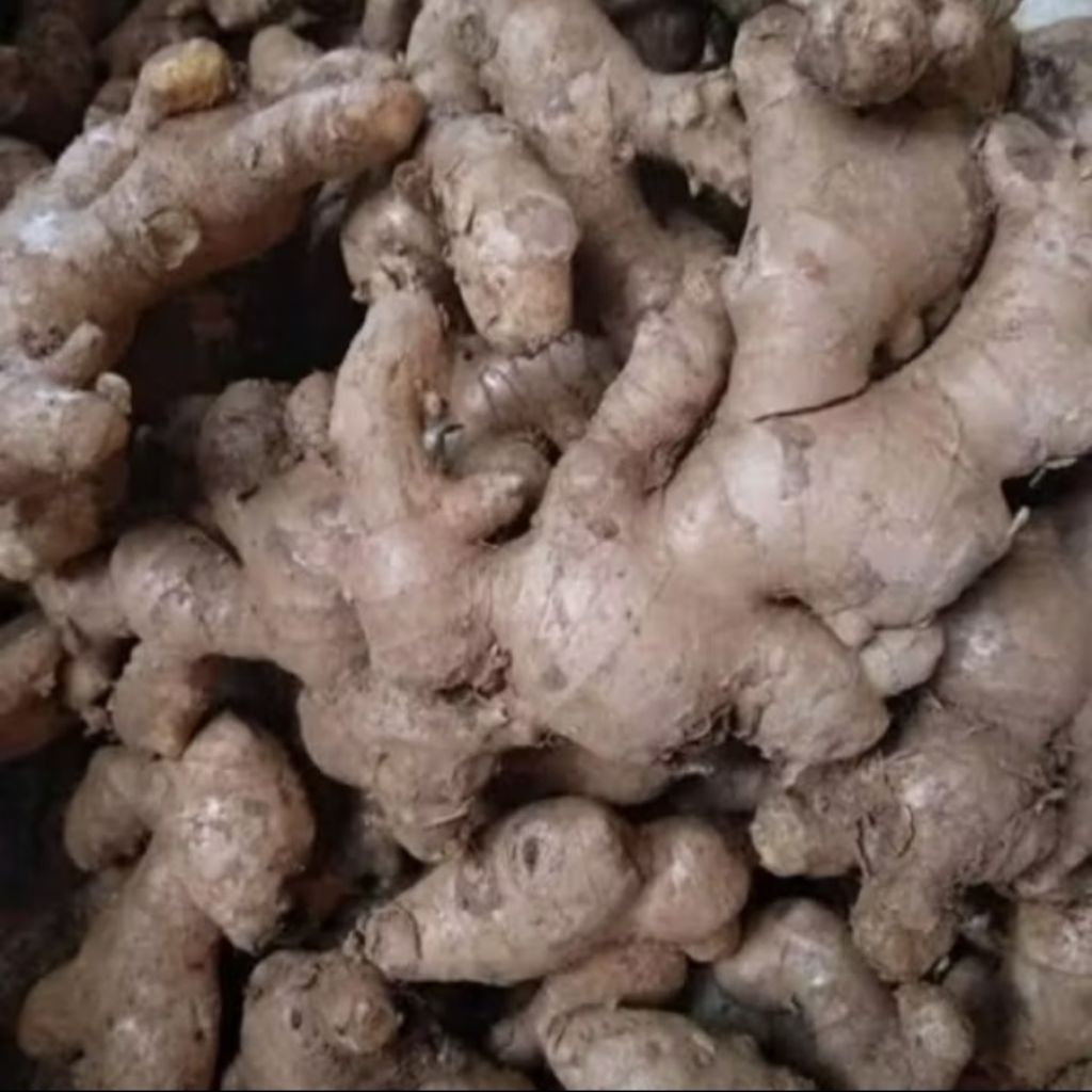 

jahe gajah press 500gr