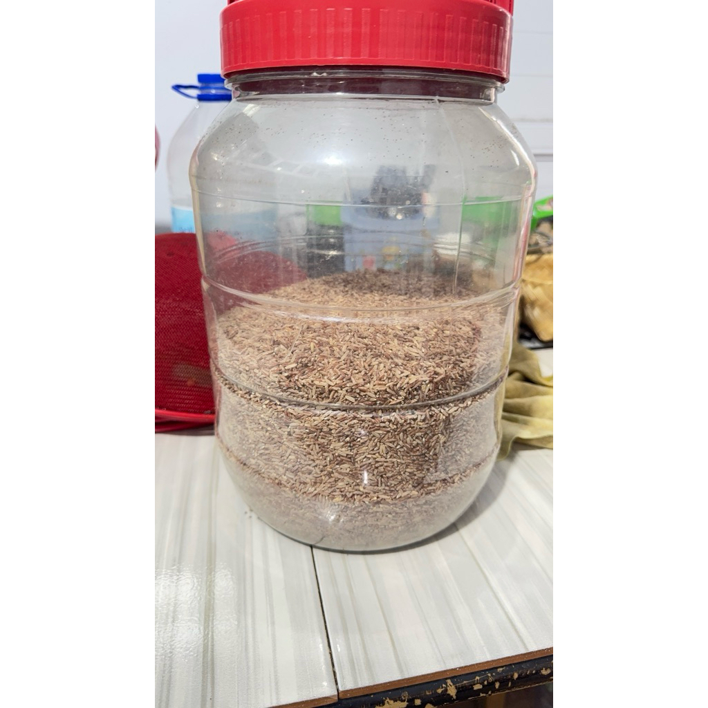 beras merah asli medan