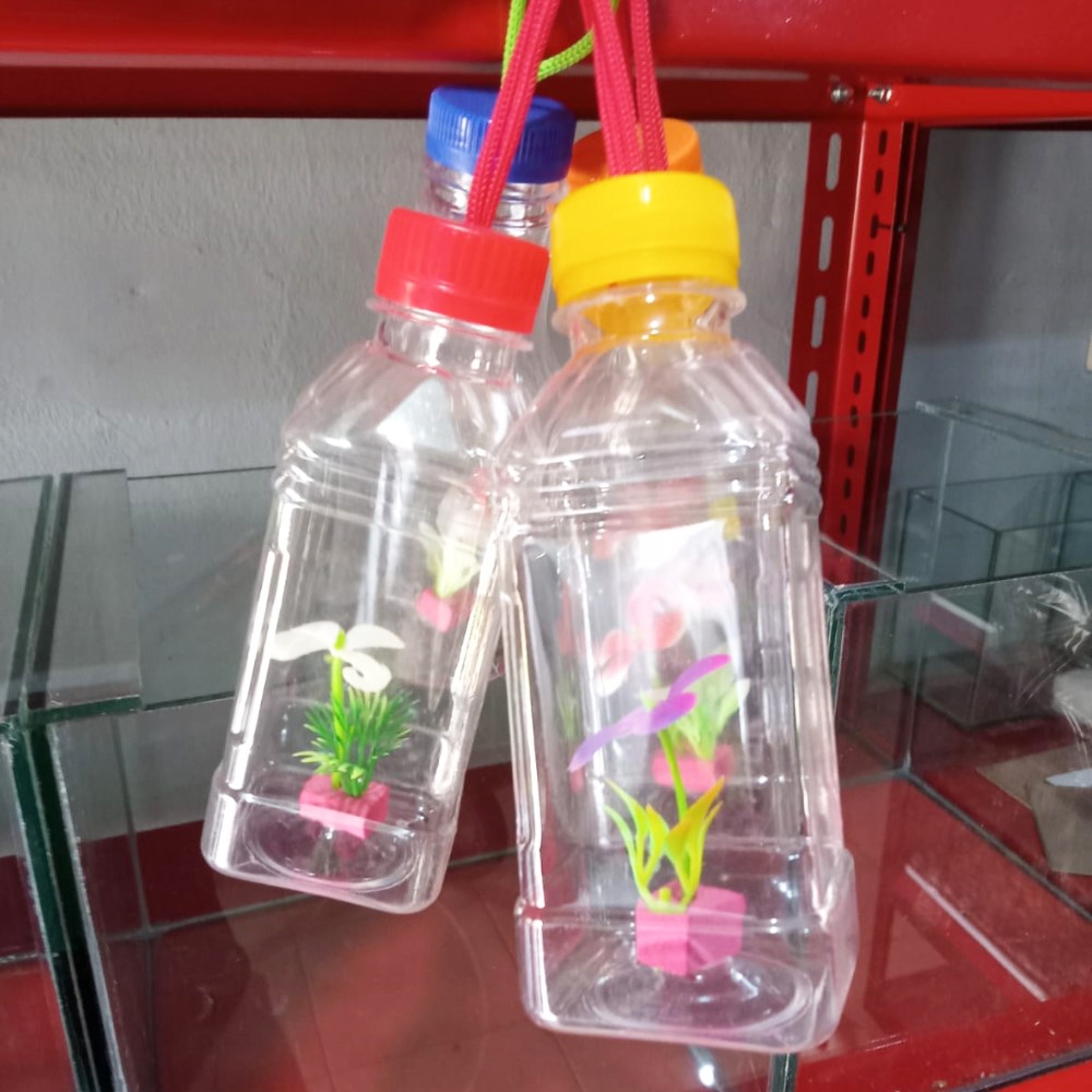 Botol Hias Ikan Cupang & Guppy / Aksesoris Aquarium Mini