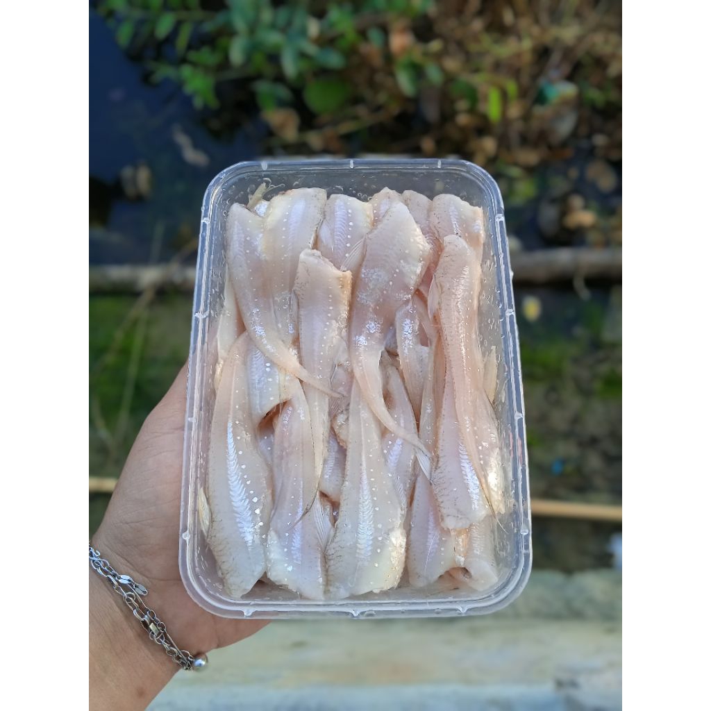 

Frozen Seafood, Anak Ikan Gonjeng Putih Bersih
