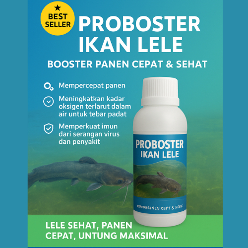 Boster Lele Formula untuk Pertumbuhan Lele lebih Cepat dan dan ikan lebih sehat