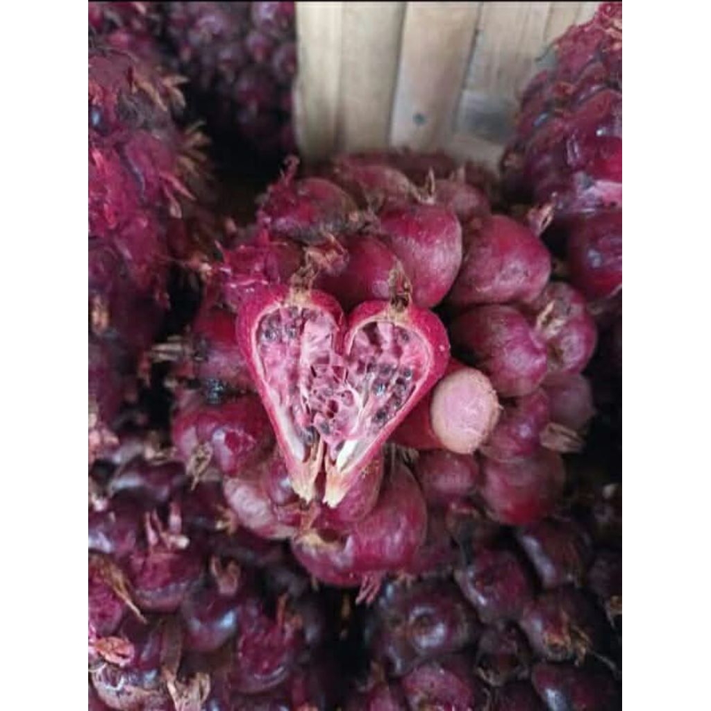 

honje laka / honje merah 1kg