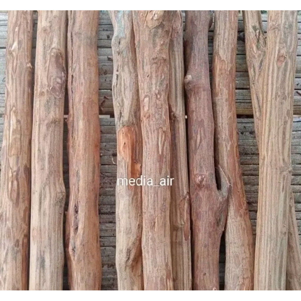 batang kayu Rasamala lurus 50cm batang dekorasi artificial aquascape