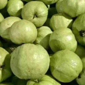 

jambu kristal lokal 1kg