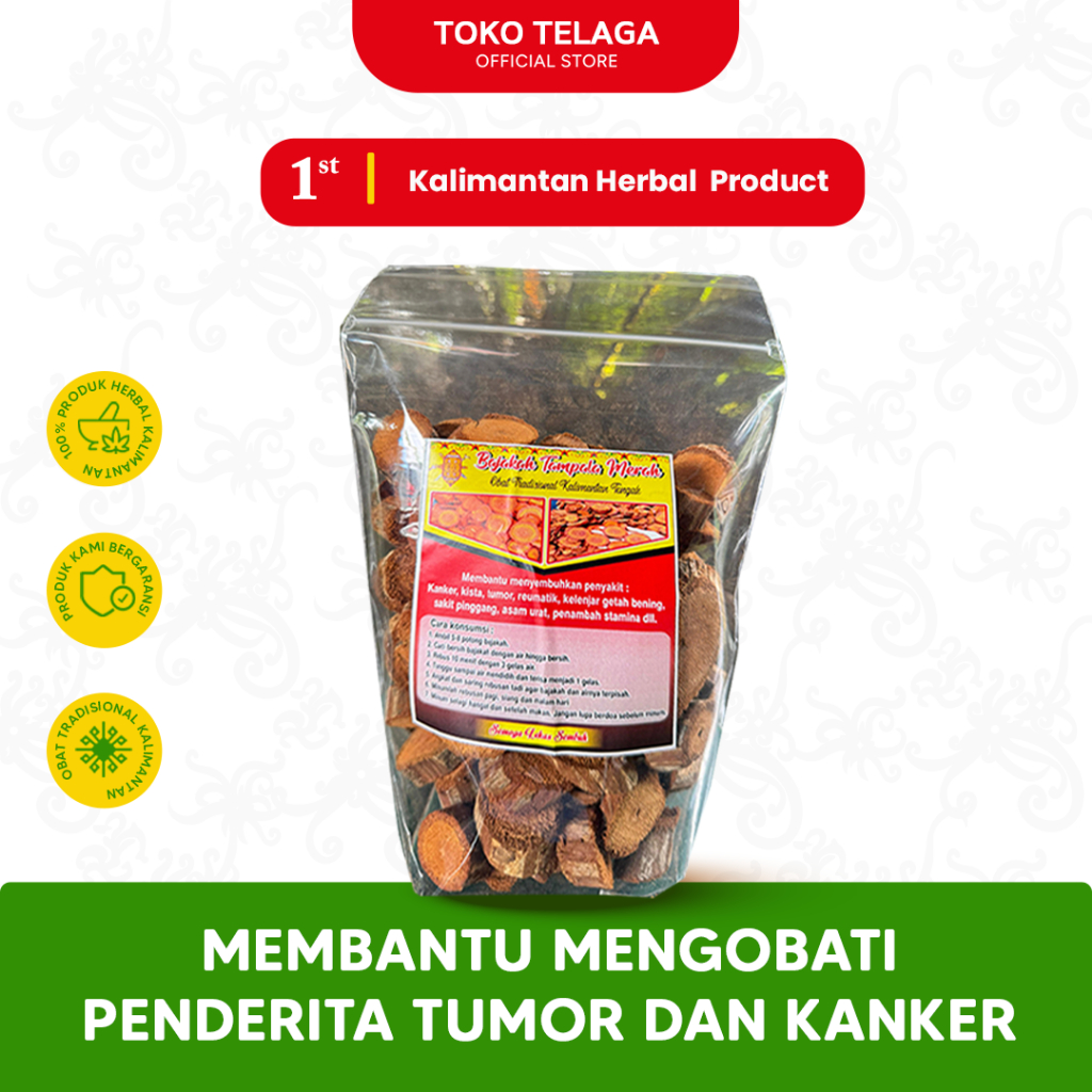 

Akar Bajakah Asli Kalimantan - Obat Herbal Tradisional