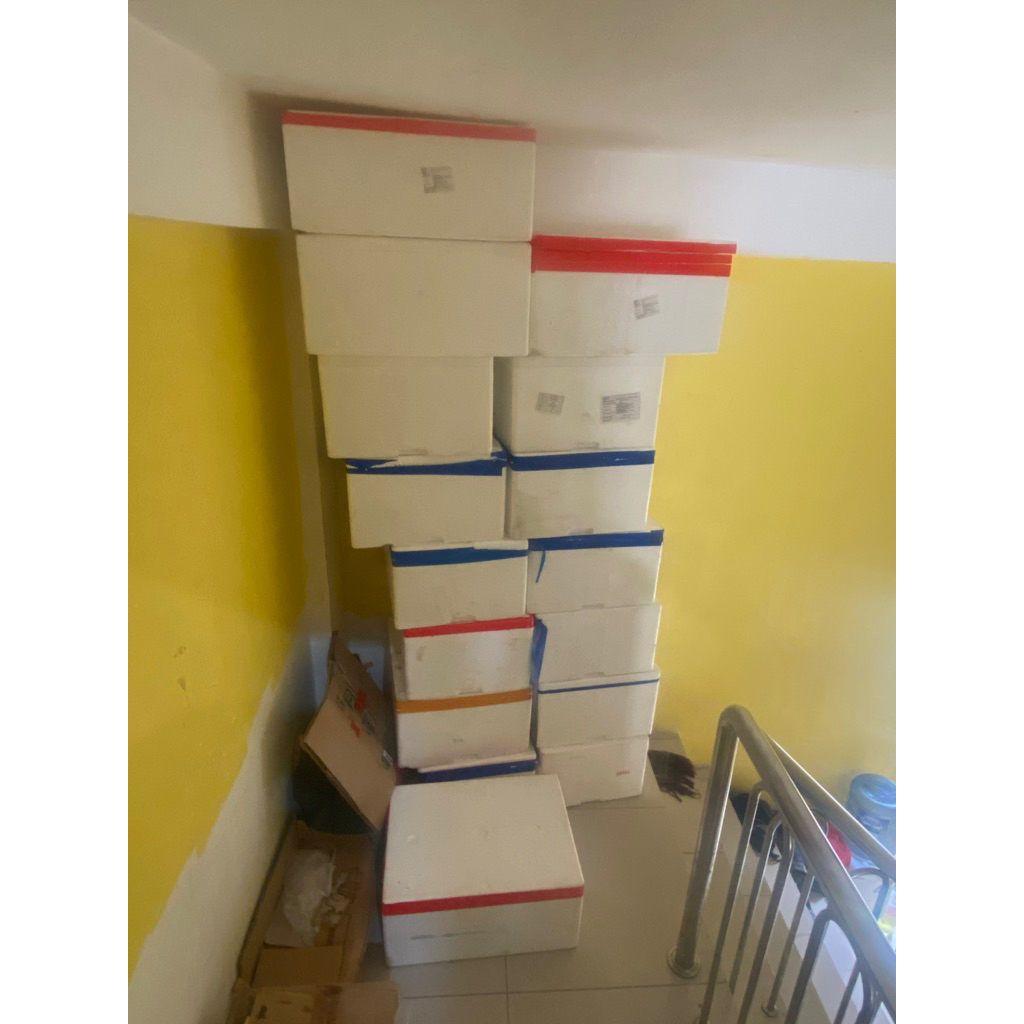 styroform / steroform / steroform Box ukuran 55x40x25