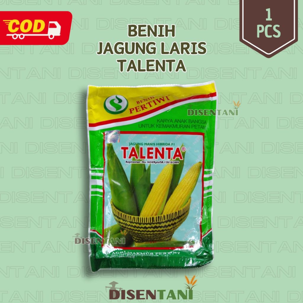 benih jagung manis TALENTA Laris dan Murah