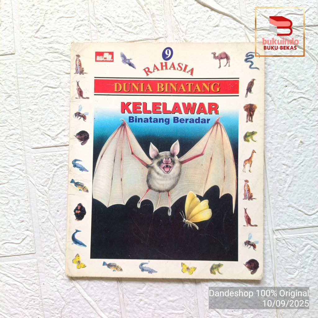 Rahasia Dunia Binatang Kelelawar Binatang Beradar - Buku Pengetahuan Anak Original Bekas Preloved
