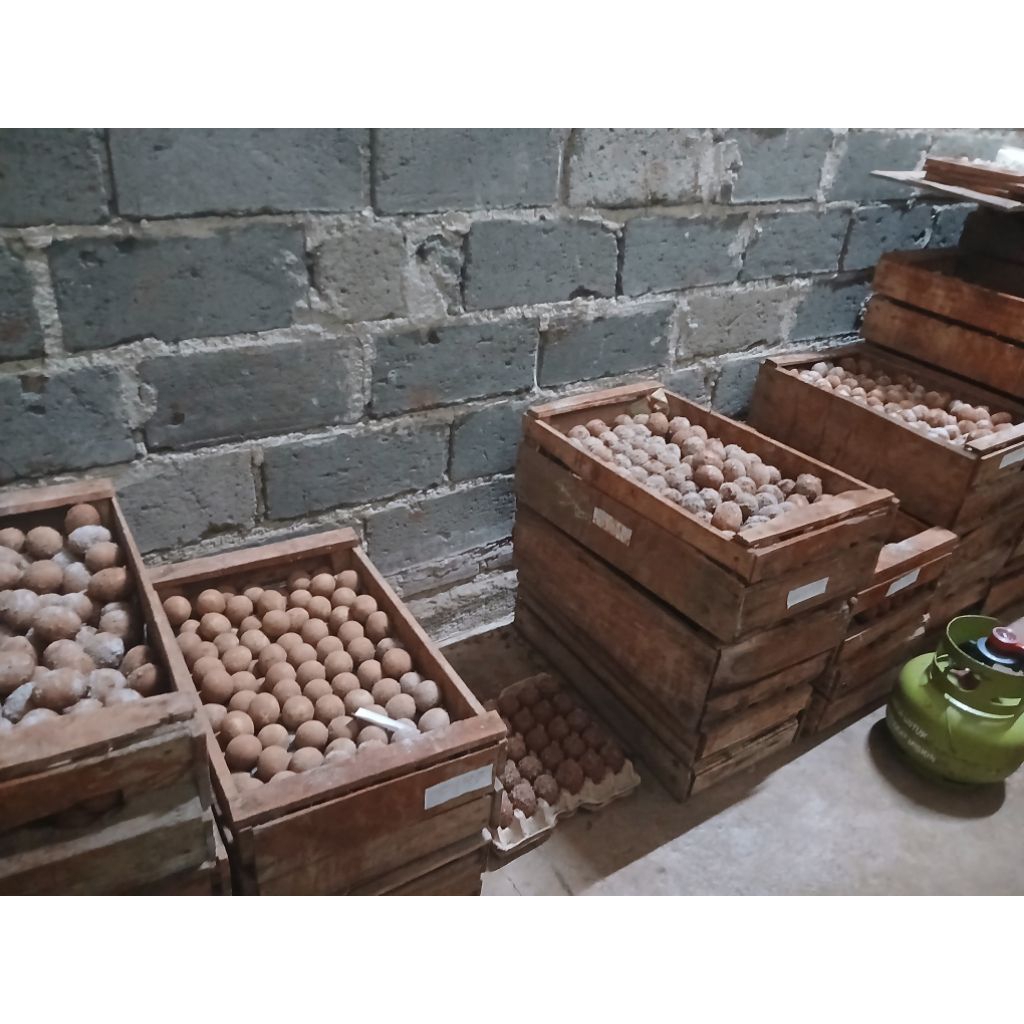 

Telur asin mentah UK AB size besar