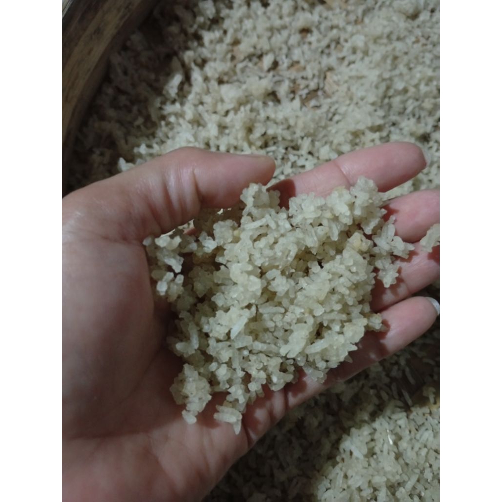 Nasi aking/nasi kering/karak