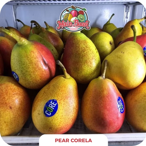 

BUAH Import Pear Corela 1kg