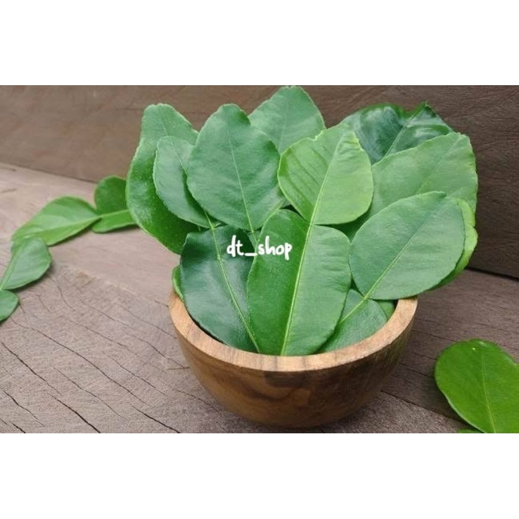 

Daun jeruk dijual perlembar