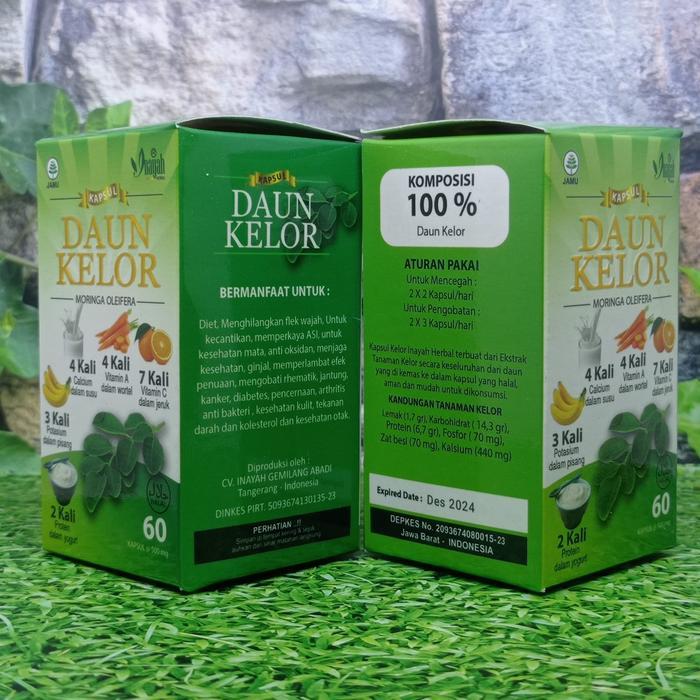 Kapsul Ekstrak Daun Kelor Original | KAPSUL DAUN KELOR 60 Kapsul Inayah