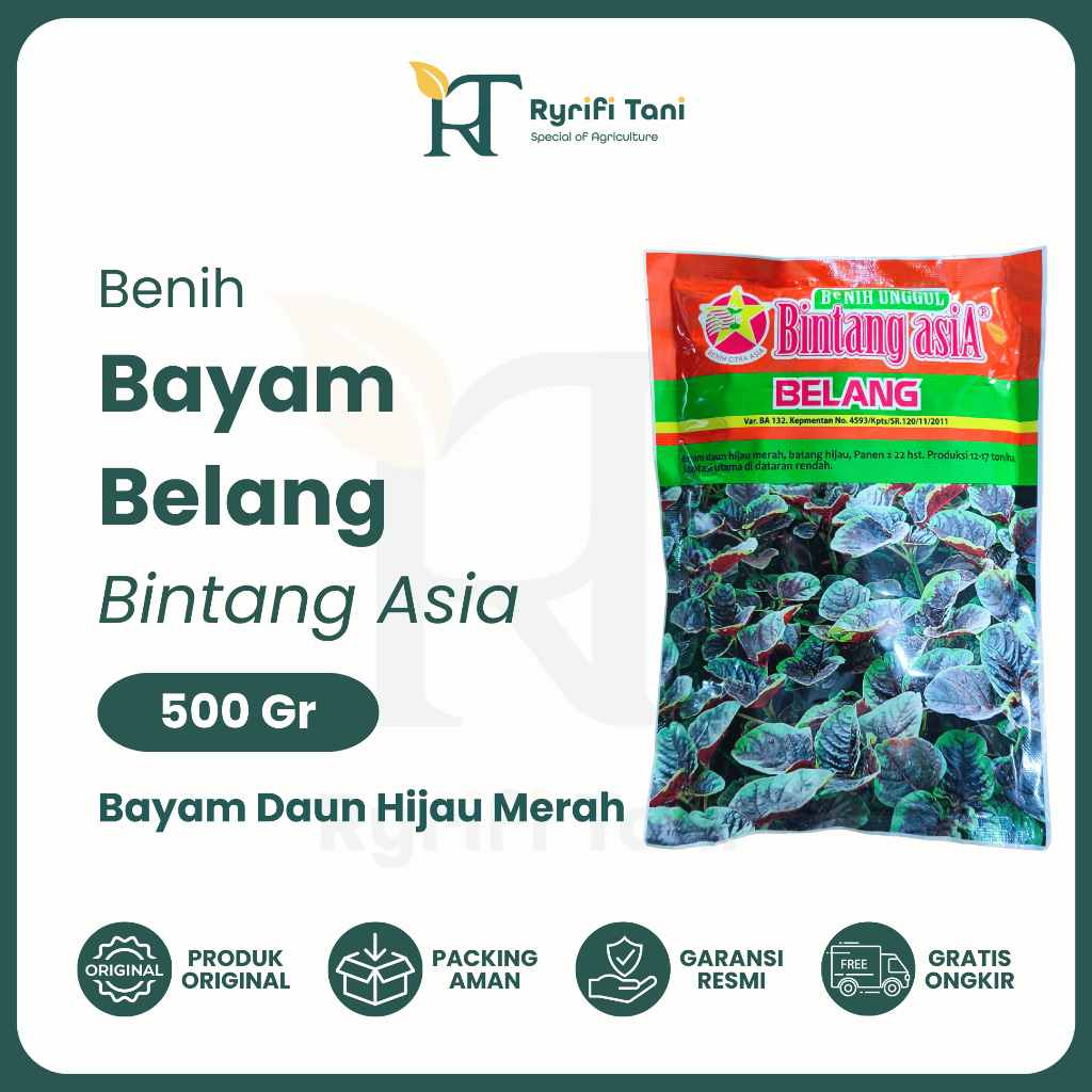 Bintang Asia - Benih Bibit Bayam Hijau Merah BELANG 500 Gram Benih Unggul